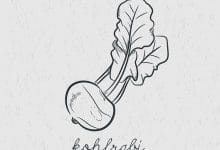 Photo of יתרונות של אכילת קולורבי